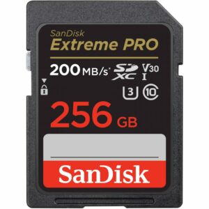 MEMORII. SD CARD Sandisk 256GB CL10 SDSDXXD-256G-GN4IN, „SDSDXXD-256G-GN4IN” (timbru verde 0.03 lei)